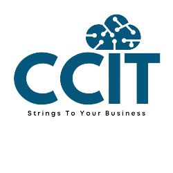 Trusted Cloud Solutions Partner | ERP For SMB | CCIT